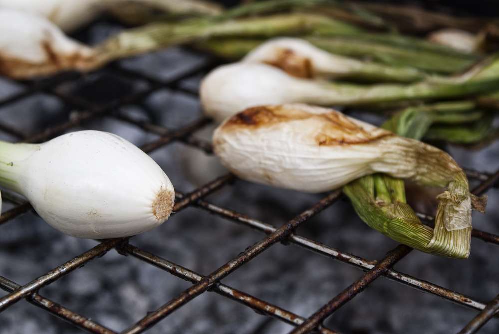 Grilled Onions
