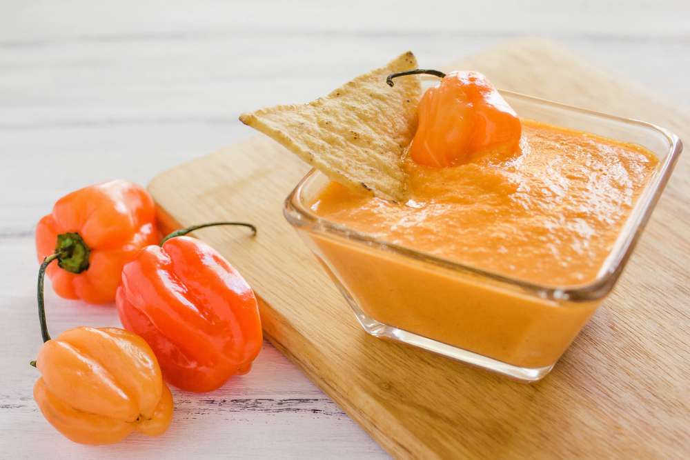 Habanero Fire Salsa